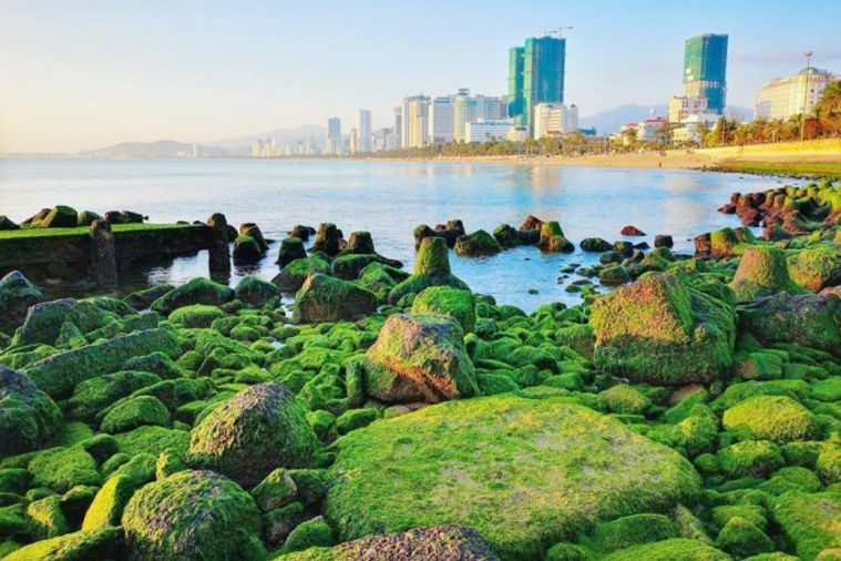 Bãi Đá Rêu - Nha Trang